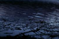 Click for large version